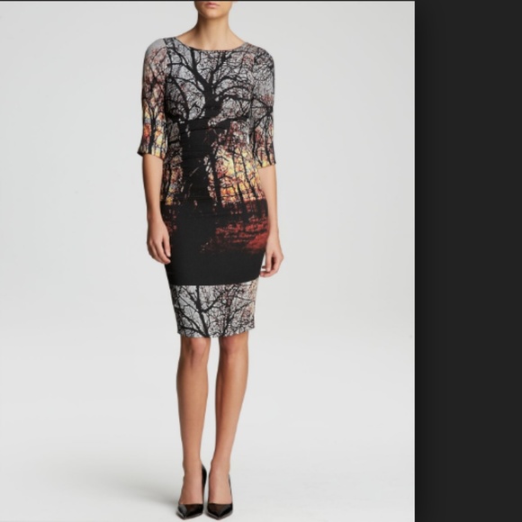 Tracy Reese Winter Landscape Dress Silk 3/4 Slv - Picture 2 of 5